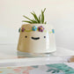 Happy volcano with flower crown